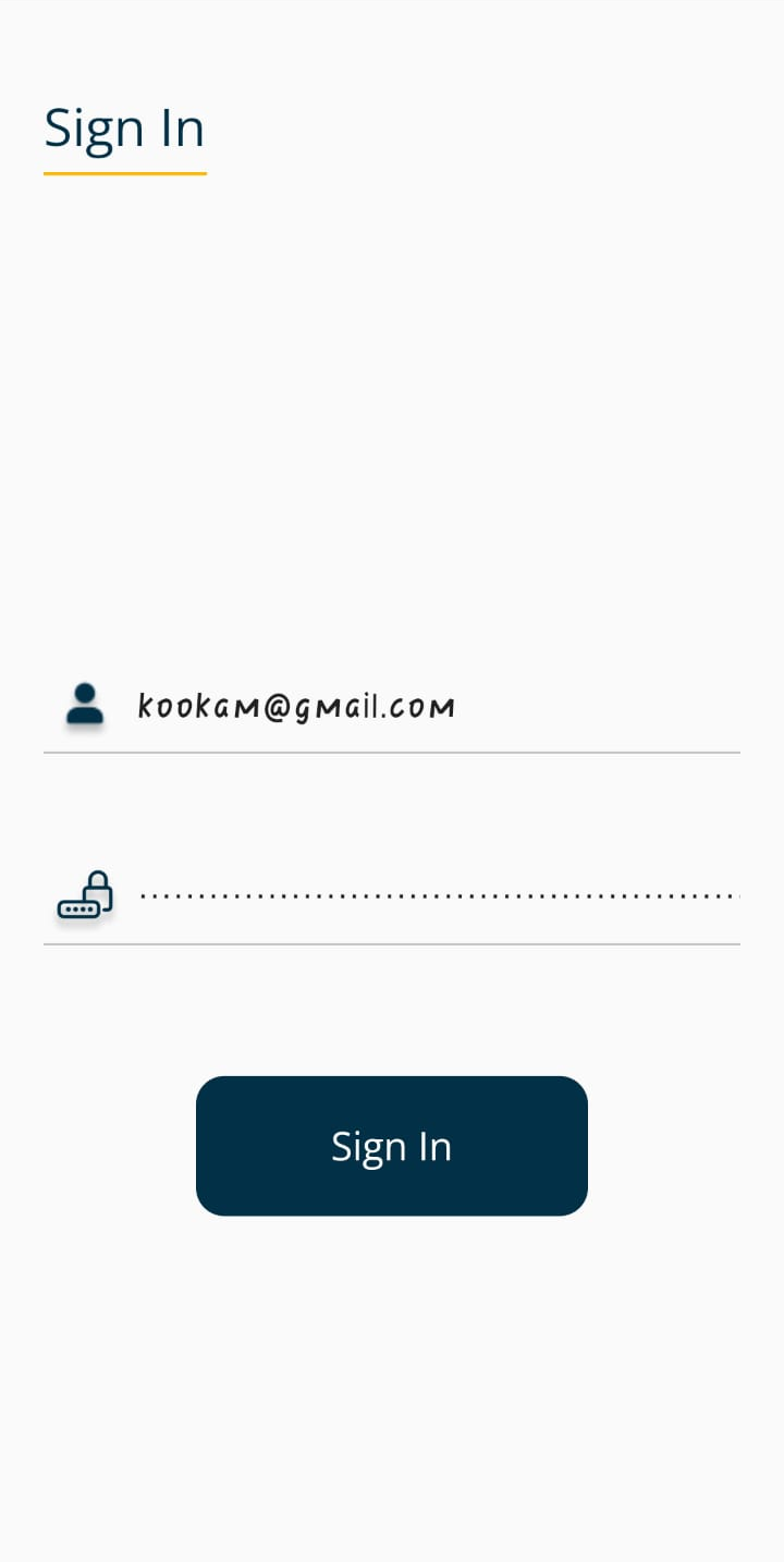 Mobile app — log in